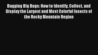 Read Bagging Big Bugs: How to Identify Collect and Display the Largest and Most Colorful Insects