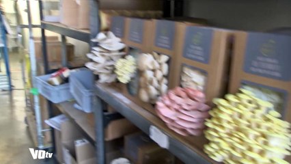 Financement participatif : Une solution pour les start-up