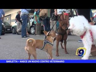 BARLETTA | Nasce un nuovo centro veterinario