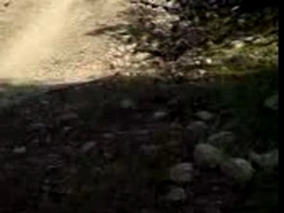 free ride