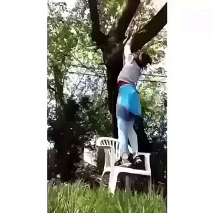 نهاية اللقافة