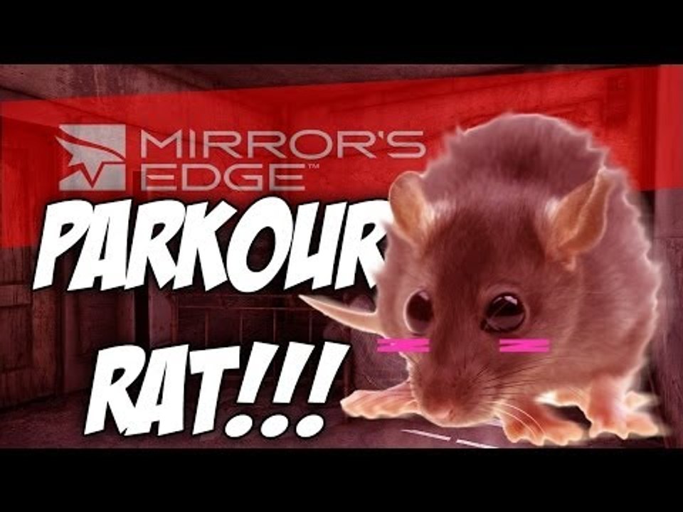 PARKOUR RAT ?! - Mirror's Edge #4