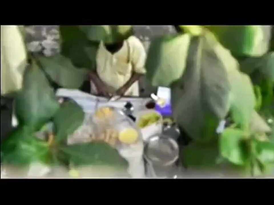 PEE IN PANIPURI