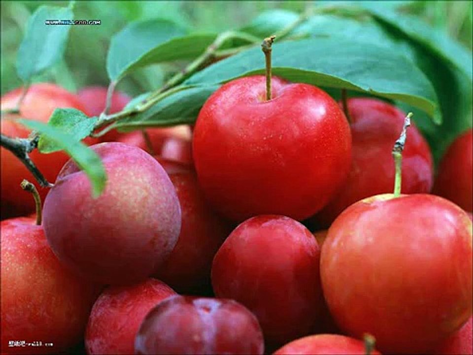 苹果惊人的益处 Amazing health benefits of apples