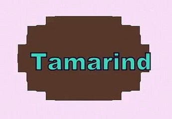 Health Tips - Tamarind Treats Loss of Appetite