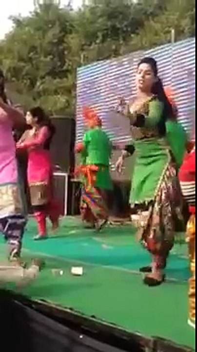 desi dance 2015 (12)