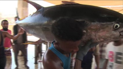 الثروة السمكية رافد لاقتصاد اليمن رغم الحرب