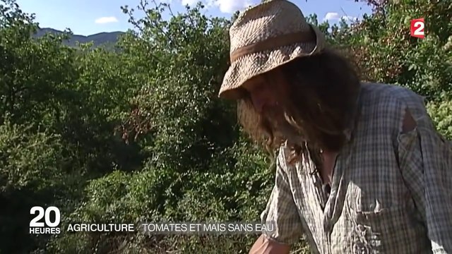 Un agriculteur fait pousser ses légumes sans eau