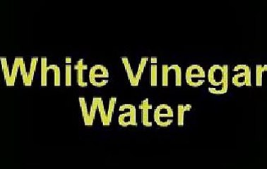 Hair Care Tips - White Vinegar for Dandruff Problem