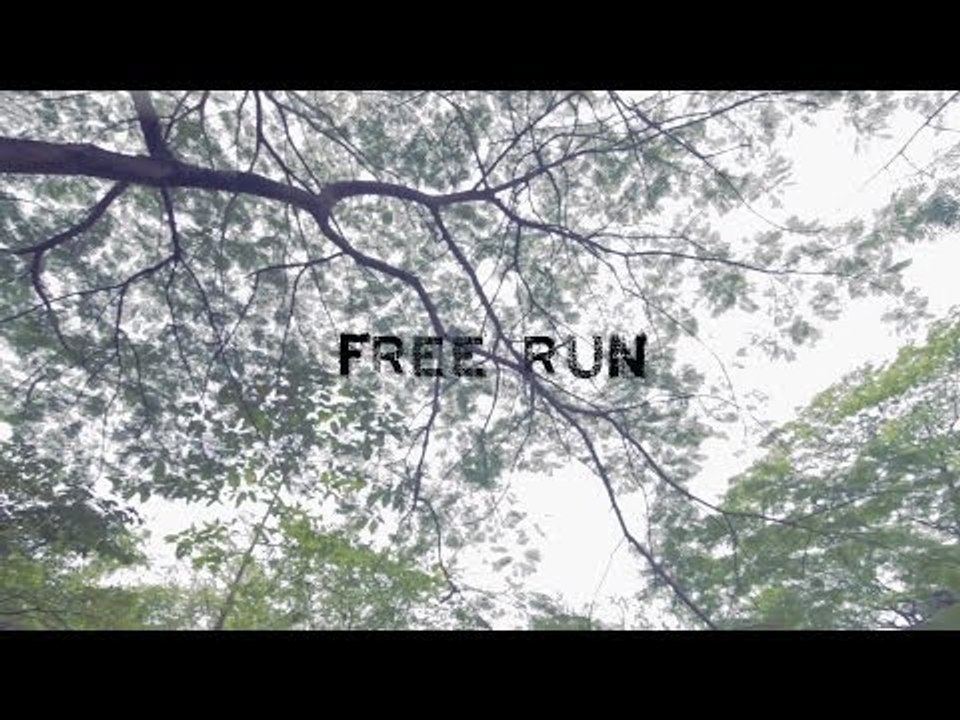 Free Run (Glidecam HD 2000 Test )