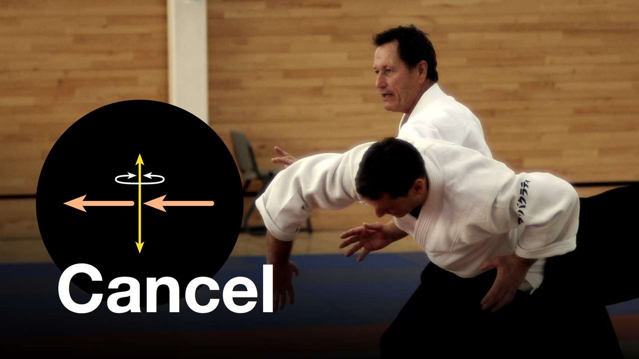 Aikido: "Cancelling". Christian Tissier Shihan