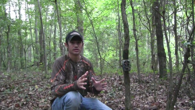 South Rut Report: Use Mock Scrapes To Relocate Bucks