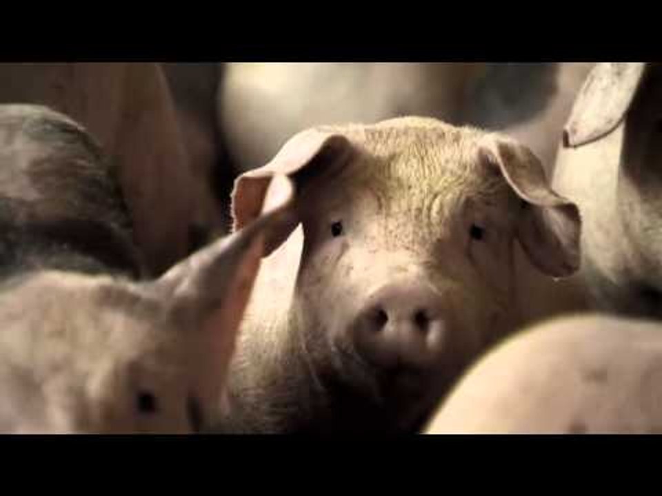 TV3 - 30 Minuts - Tardor 2015 a 30 Minuts