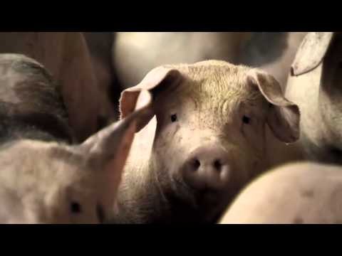 TV3 - 30 Minuts - Tardor 2015 a 30 Minuts