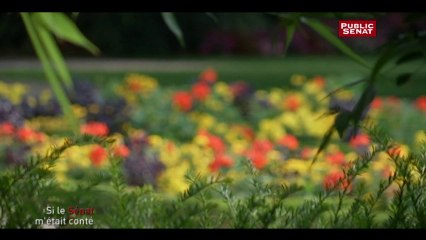 Le jardin d'hiver du petit Luxembourg