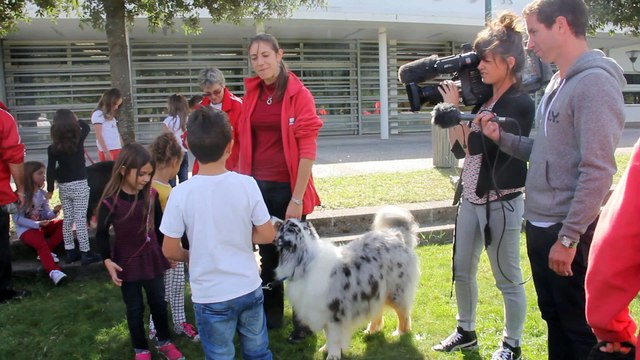 Tap Agility canine : ça tourne!!