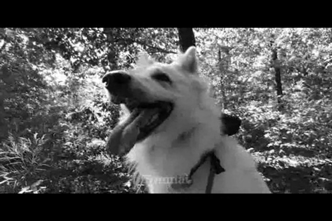 Le Rakuen promenades 2015-09 Toumai