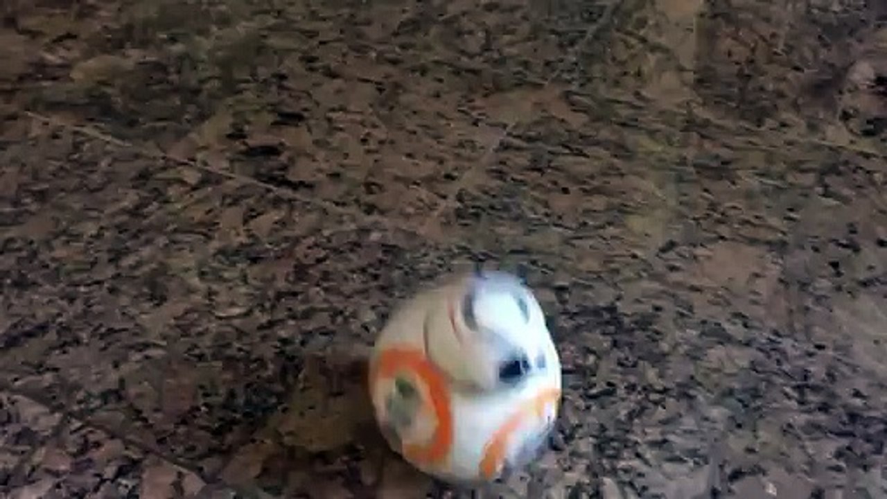 BB8 Droid