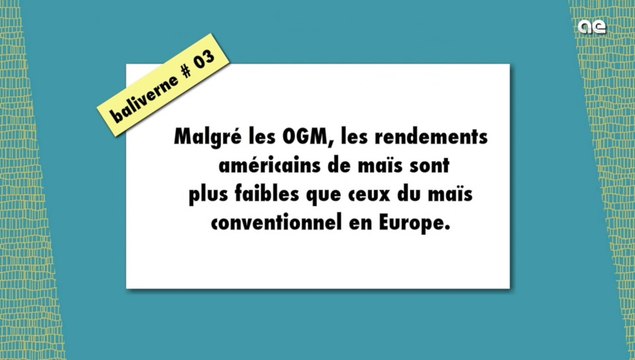 Maïs : malgré les OGM, les rendements US sont plus faibles qu'en Europe / BALIVERNE #03