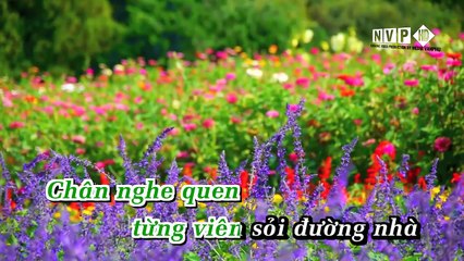 24 Giờ Phép - Trường Vũ - Thanh Son HD-Van Phu (Beat Full)