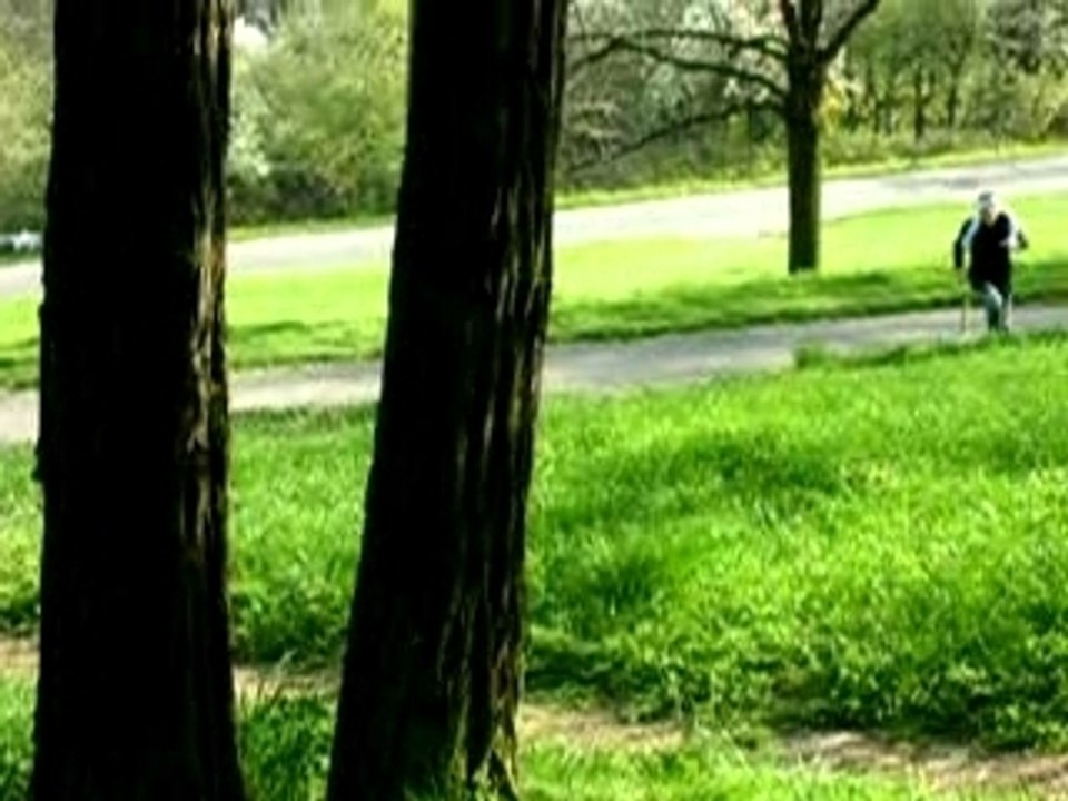 DSCN6667