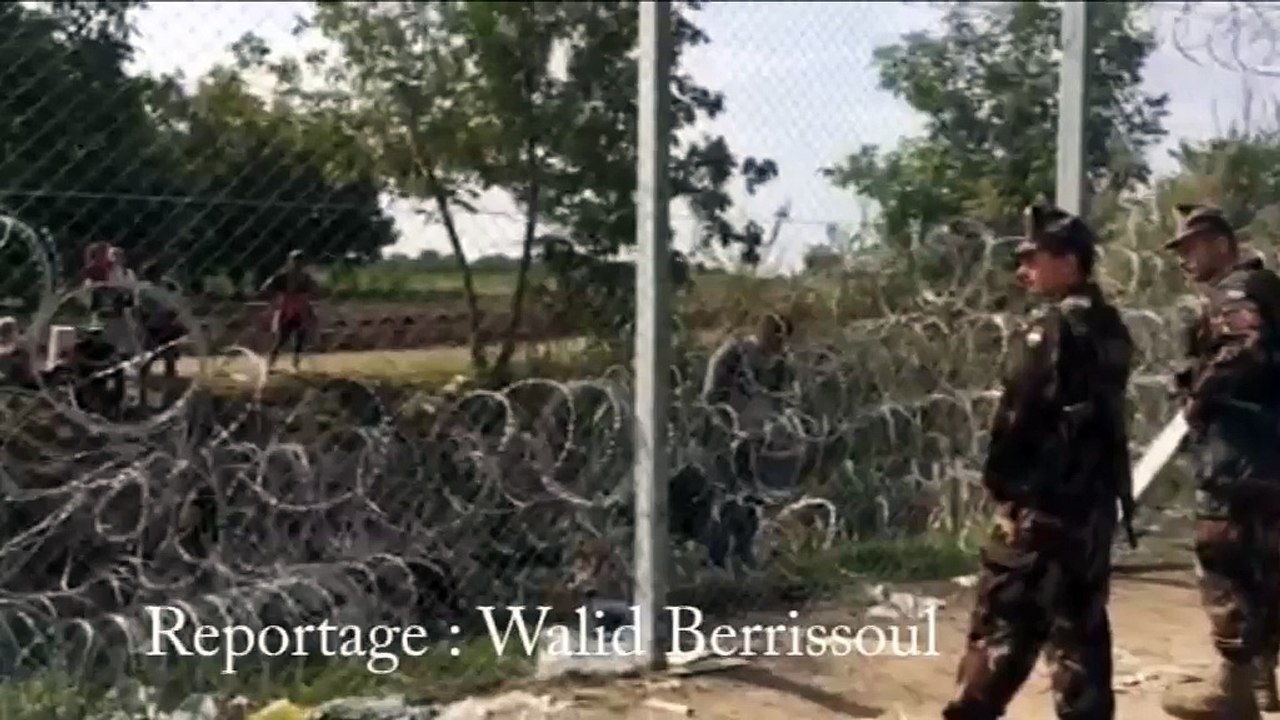 Frontière serbo-hongroise : la Hongrie érige ses barbelés