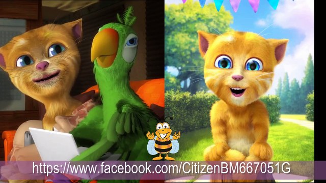 Taylor Swift - Wildest Dreams Cover (TALKING TOM ft PIERRER)