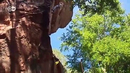 Palatinate Forest - Nature without borders