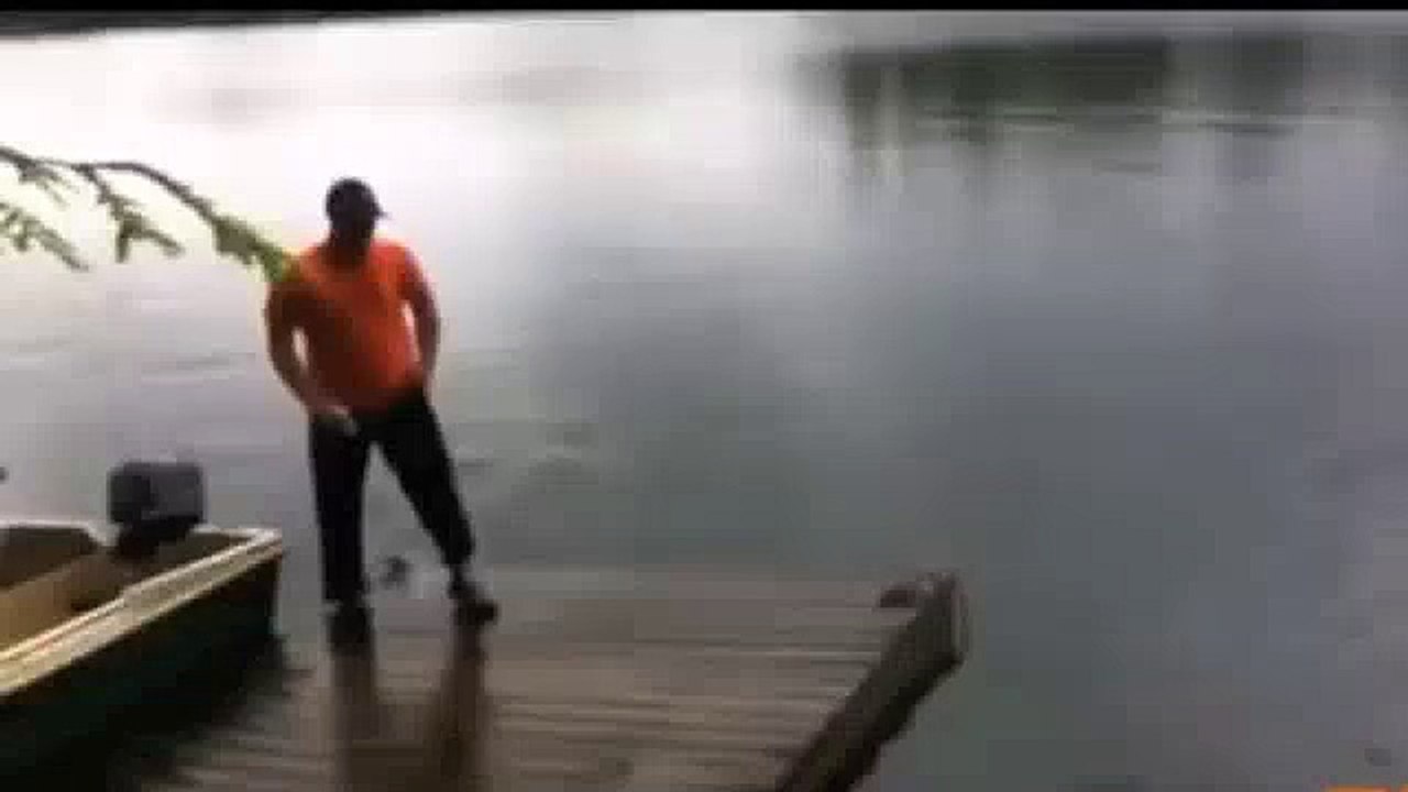 z57 Complaints with Reviews Fails