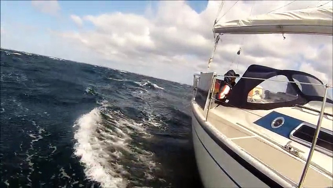 Dehler 31 - Fehmarn - Neustadt im September.