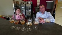 Six bières locales ( plus une bière de fabrication industrielle ) testées à l' aveugle aux caves du Dronckaert à Roncq