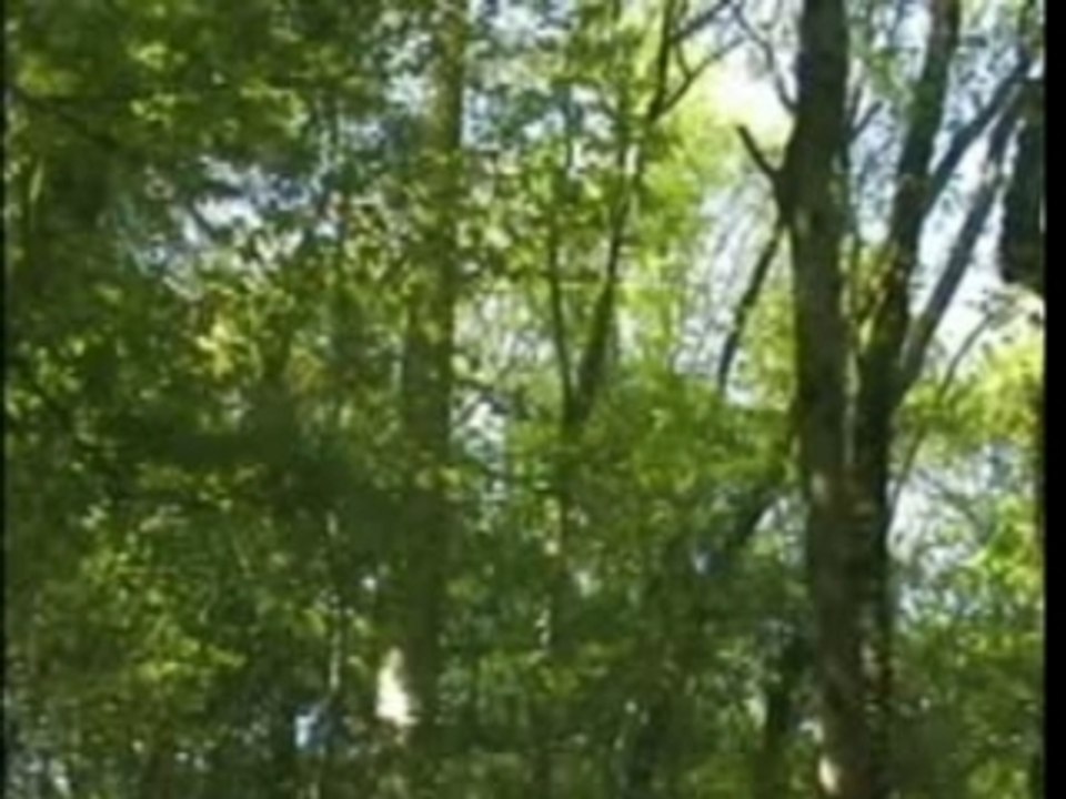 No hand suicide bien