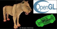 12 3D PROGRAMMING OPENGL-GLUT REFLECTIONS (IN HINDI)