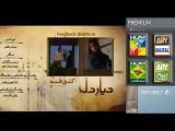 Diyar e Dil Episode 28 Promo Hum TV Drama 15 Sep 2015