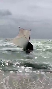 Llegan 12 balseros cubanos y un perro a Miami