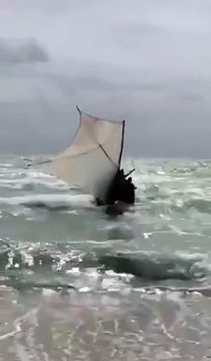 Llegan 12 balseros cubanos y un perro a Miami