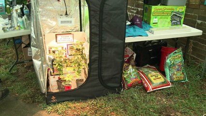 DC hosts first ever 'Best Bud' competition