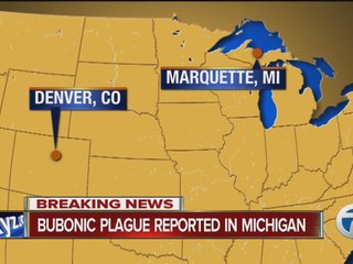 Bubonic plague reported in Michigan