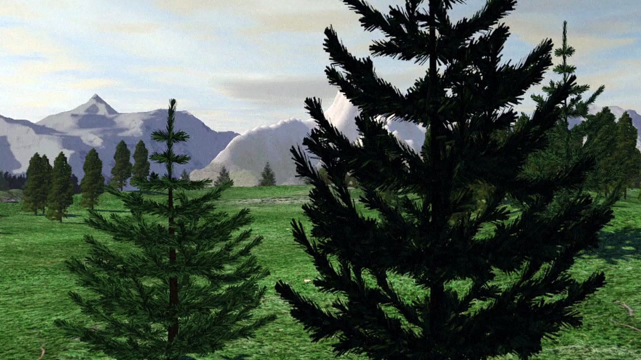 Avalanches