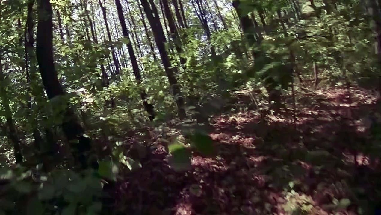 HARDCORE movie Trailer