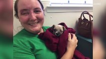 Woman who lost an eye after a shooting adopts puppy who lost an eye in dog attack