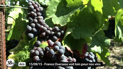 18h Eco : France Overseas/Sygmatel