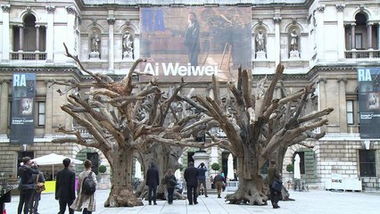 La Royal Academy offre une rétrospective d'Ai Weiwei enfin libre