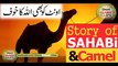 Sahabi-ka-waqia-Camel-mai-bhi
