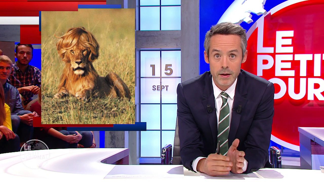 A l'énorme meeting de Donald Trump - Le Petit Journal du 15/09 - CANAL+