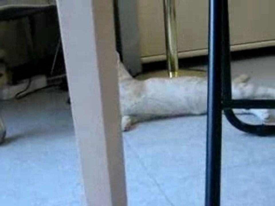 ta maladie  Ataxie cérébelleuse