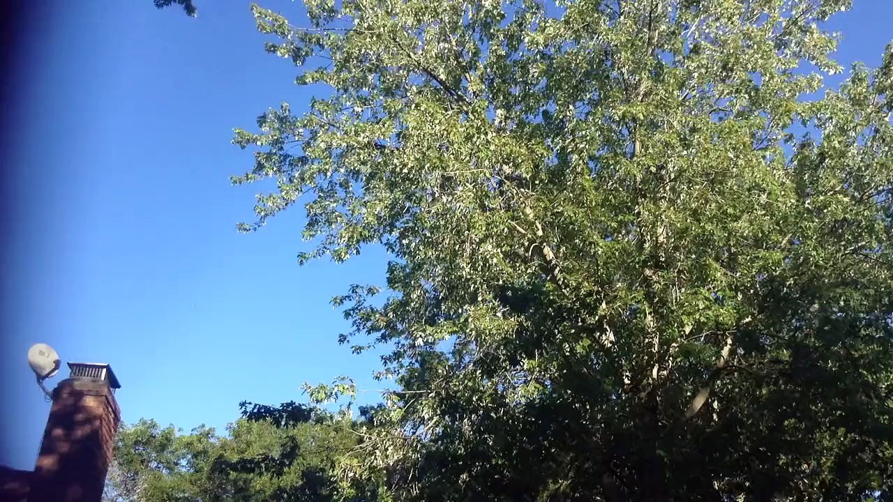Just a test video... :I