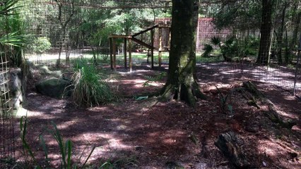 Ever Wonder About Our Enclosures?