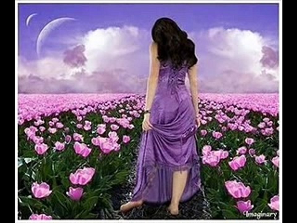 Tema de Fernanda_Selva de Pedra,