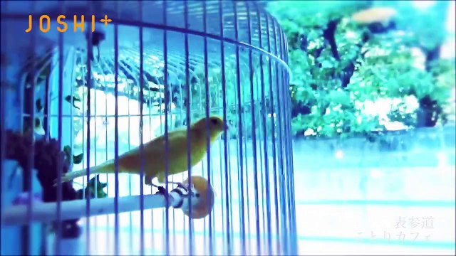 fits　出会い　こんなカフェに行ってみたい☆１